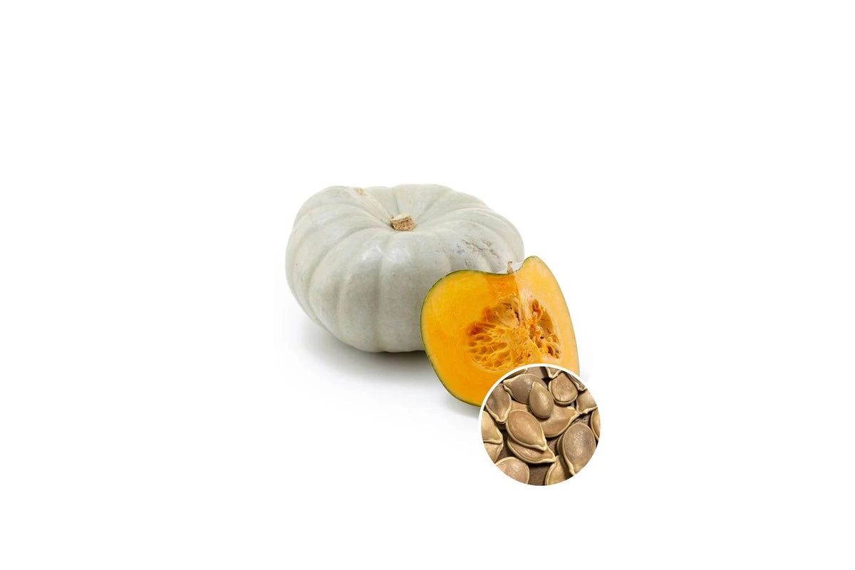Pumpkin Jarrahdale - Seed Packet | Organic Seeds | Spring - Summer