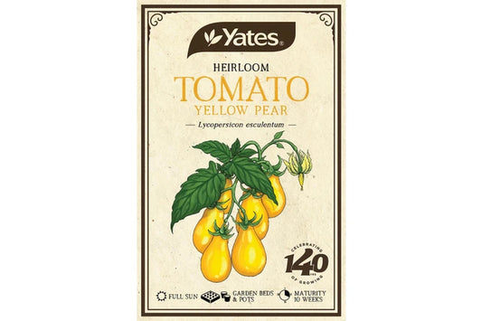 Heirloom Tomato Yellow Pear Seeds Each
