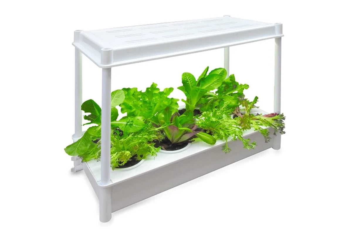Greenlife Self-Watering Salad Planter Grower with LED Lights and 8 Pots - White