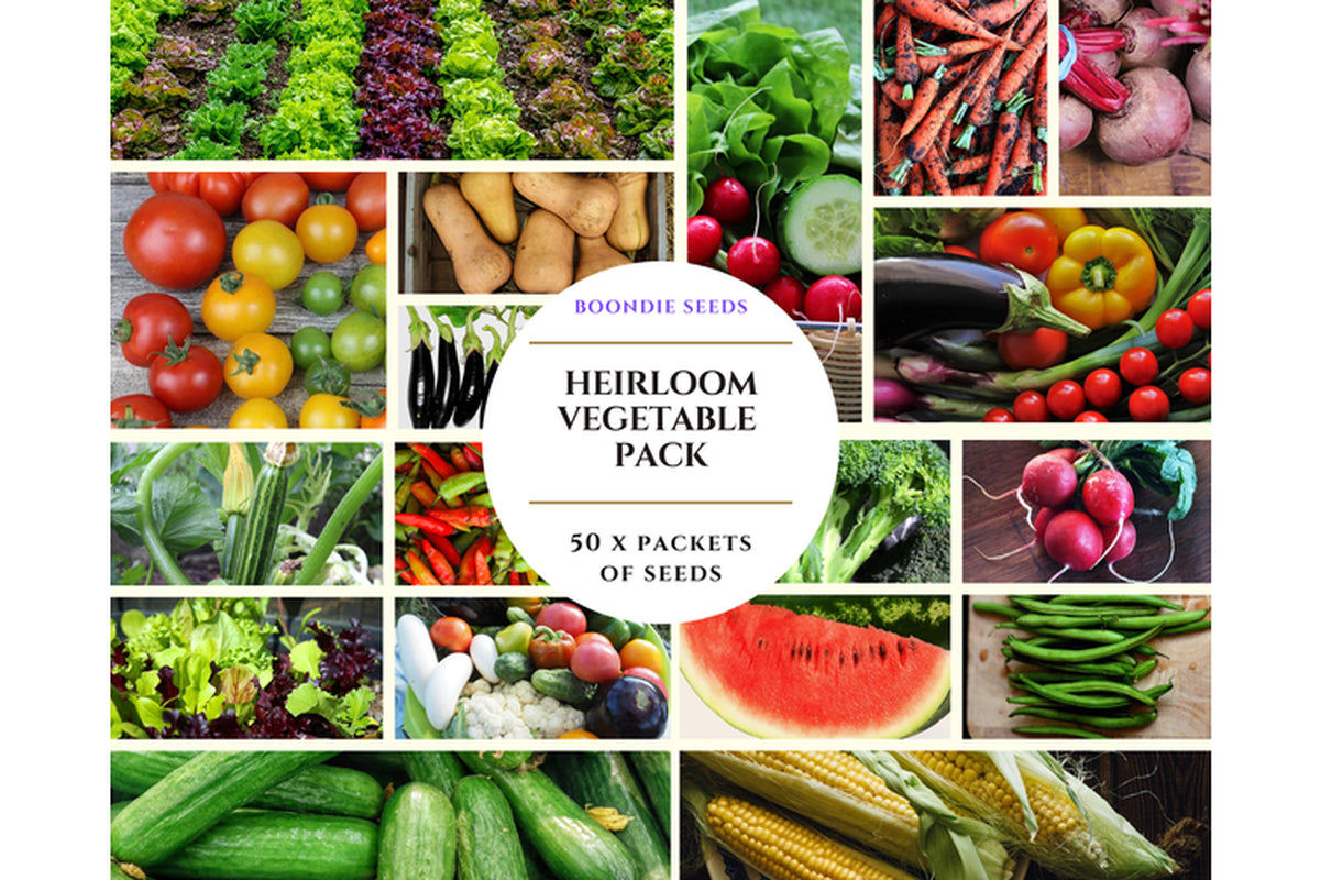 HEIRLOOM VEGETABLE 50 Packets GARDEN PACK Mixed GARDEN STARTER Seeds