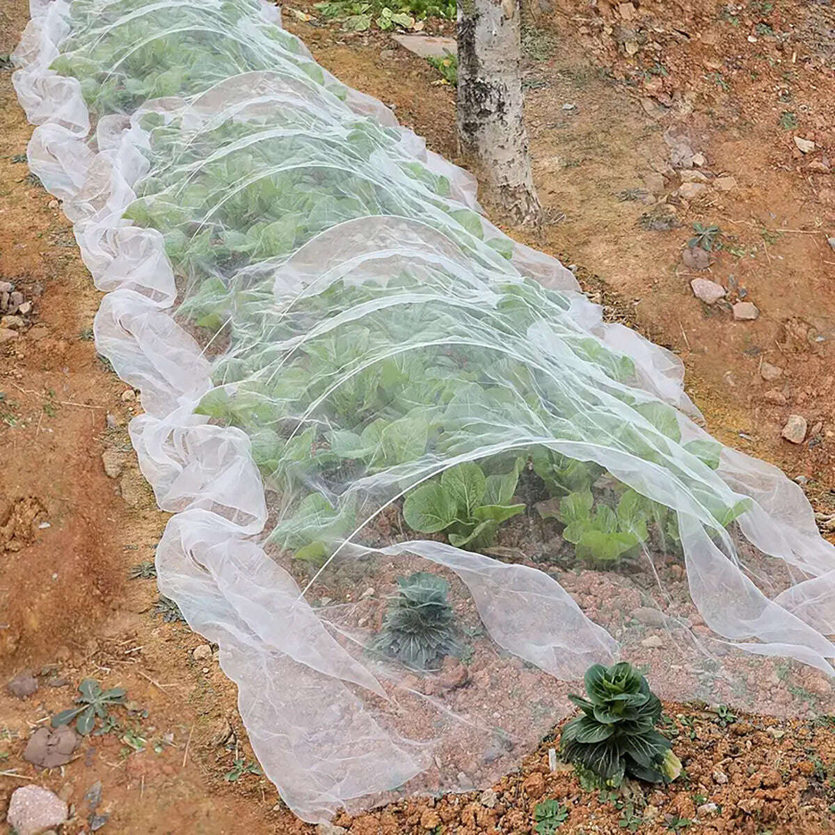 Garden Insect Netting Mesh anti Bug Net Forgreenhouse Fruit Vegetable Protection