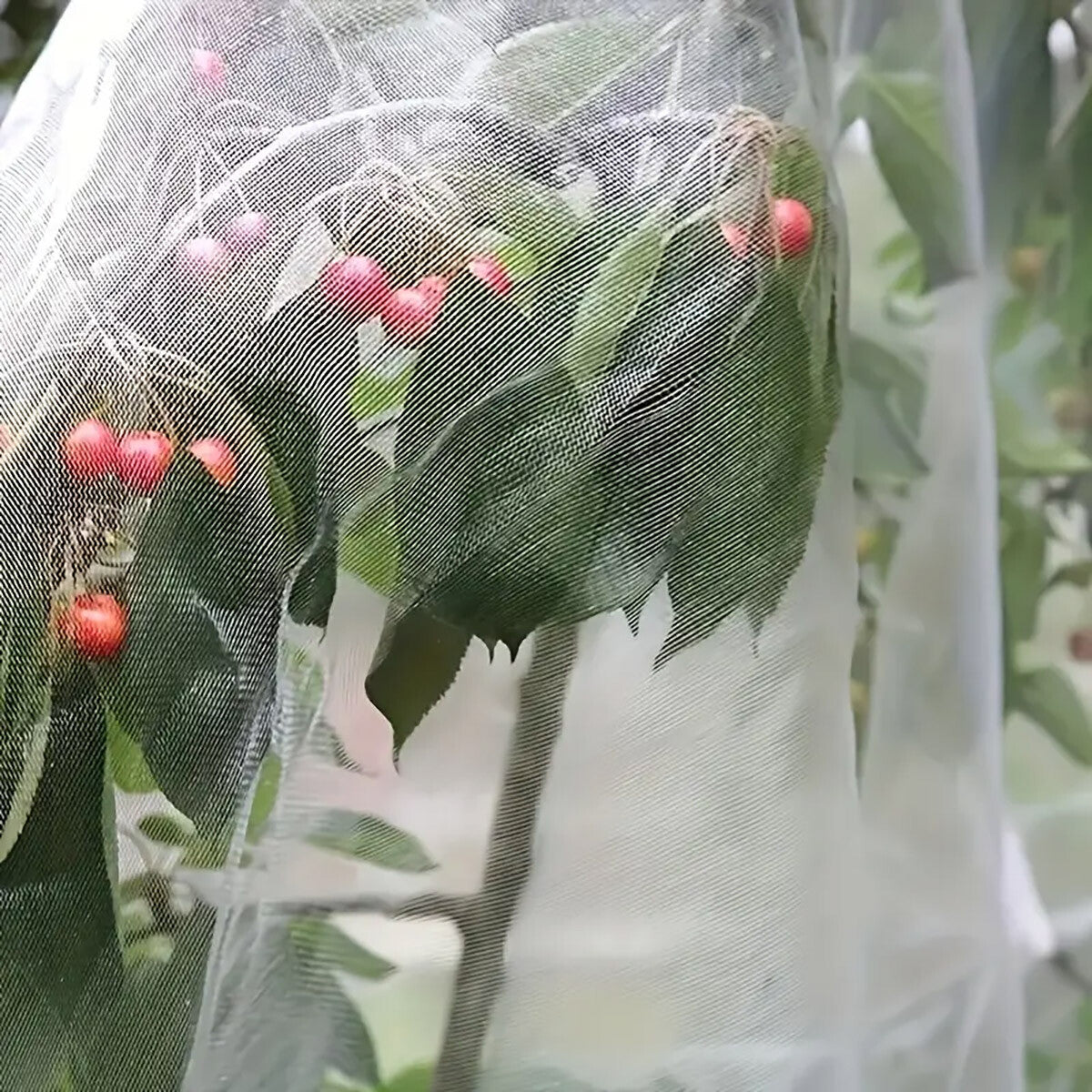 Garden Insect Netting Mesh anti Bug Net Forgreenhouse Fruit Vegetable Protection