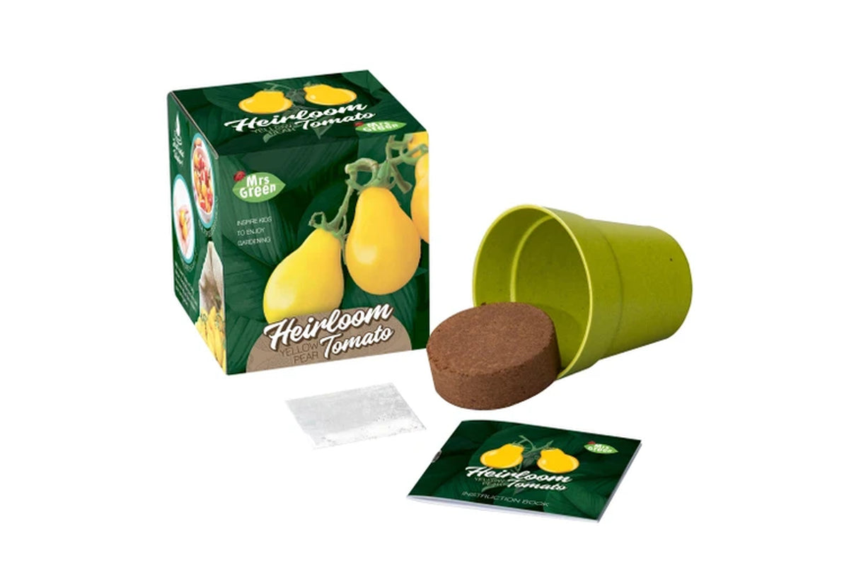 Heirloom Tomato Yellow Pear