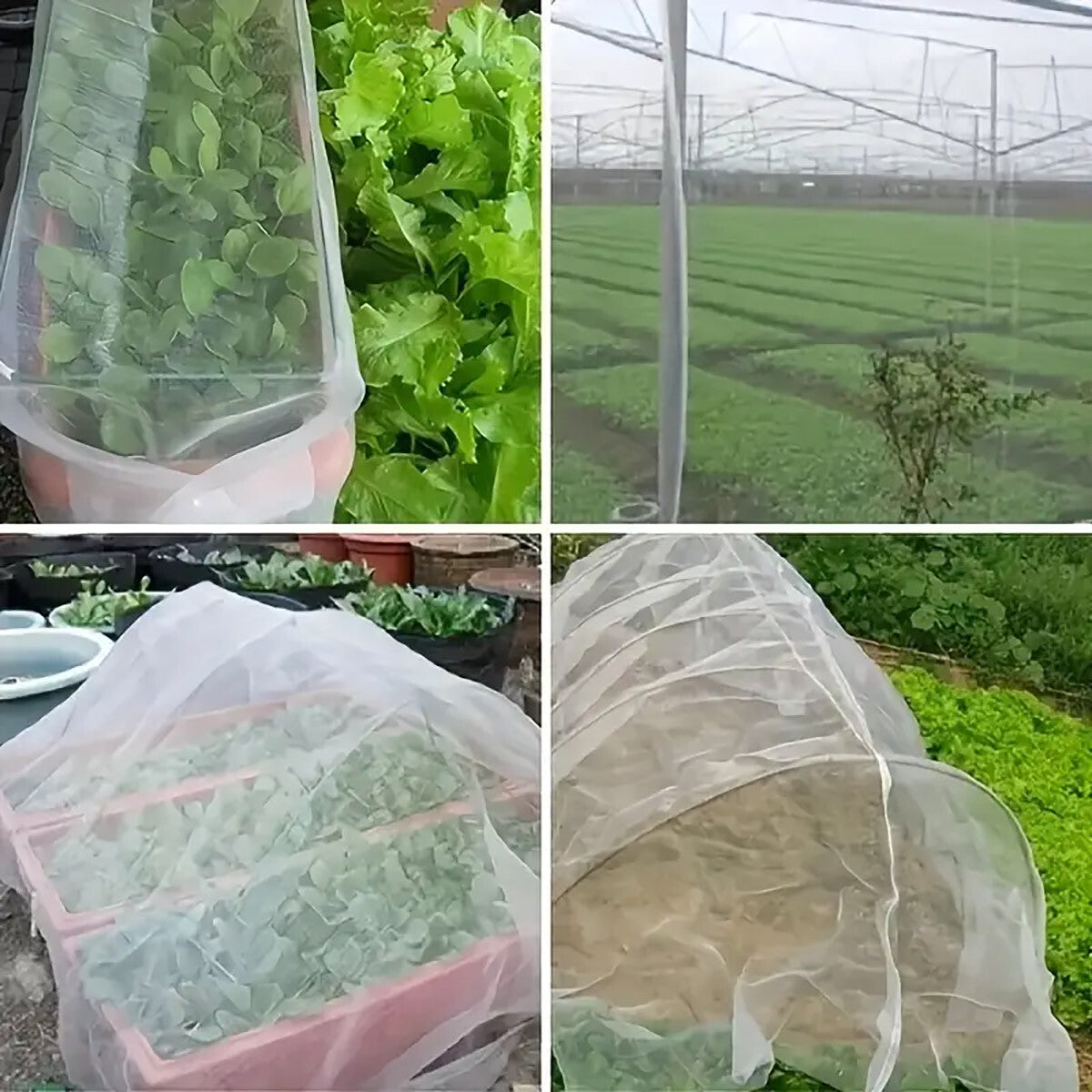 Garden Insect Netting Mesh anti Bug Net Forgreenhouse Fruit Vegetable Protection