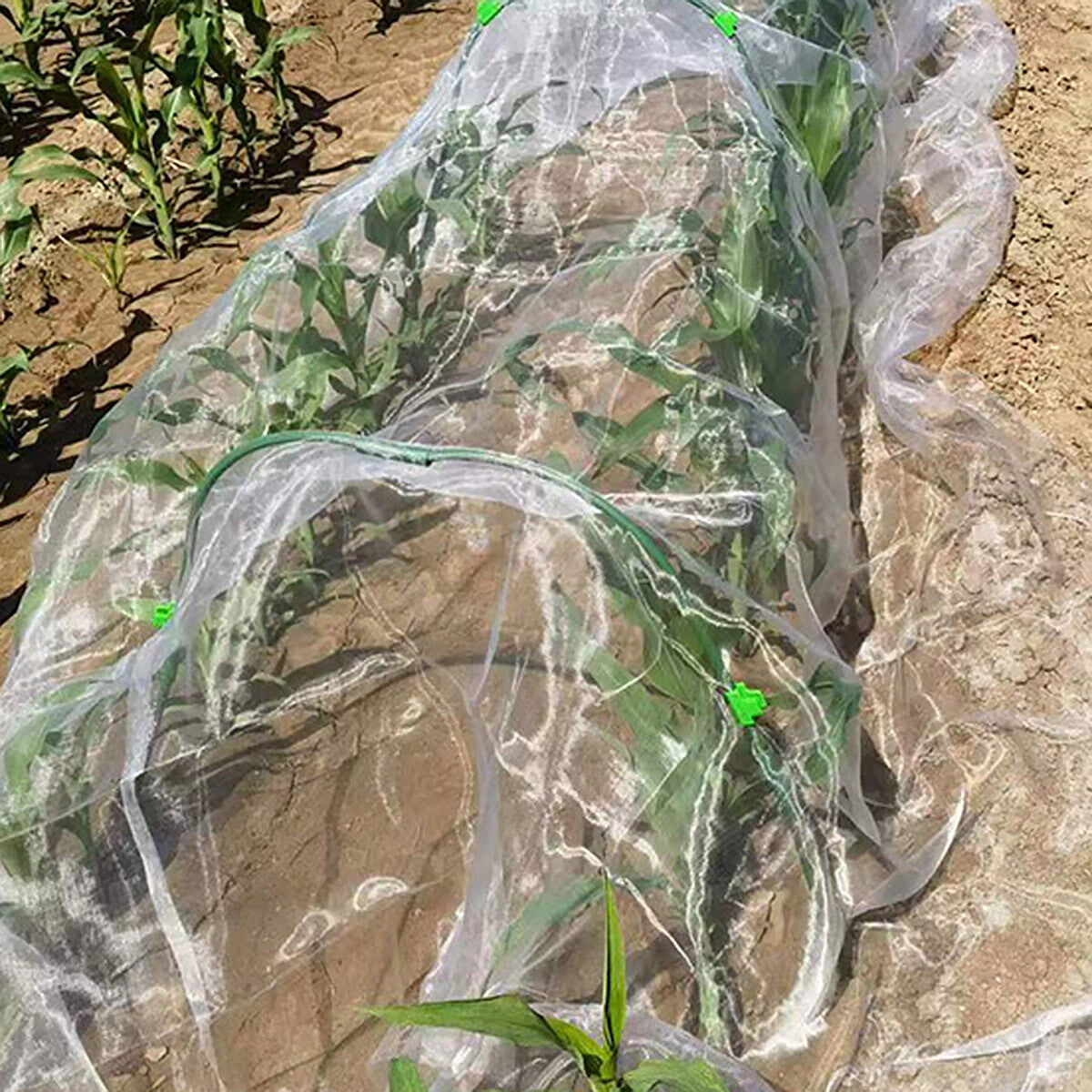 Garden Insect Netting Mesh anti Bug Net Forgreenhouse Fruit Vegetable Protection