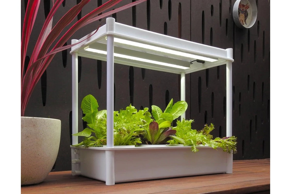 Greenlife Self-Watering Salad Planter Grower with LED Lights and 8 Pots - White