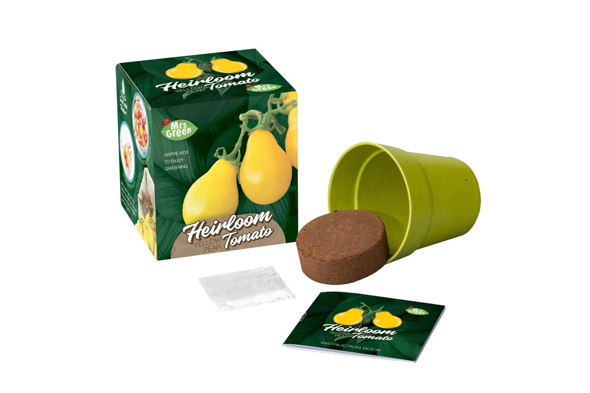Heirloom Tomato Yellow Pear