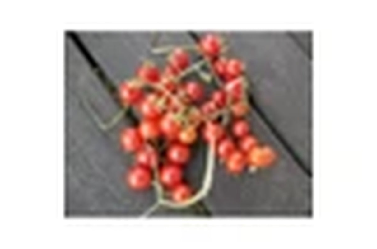 TOMATO CHERRY 'Wild' Seeds - Standard Packet (See Description for Seed Quantity)
